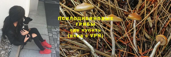 СК Вязники