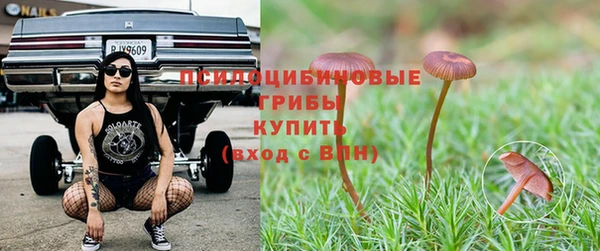 СК Вяземский