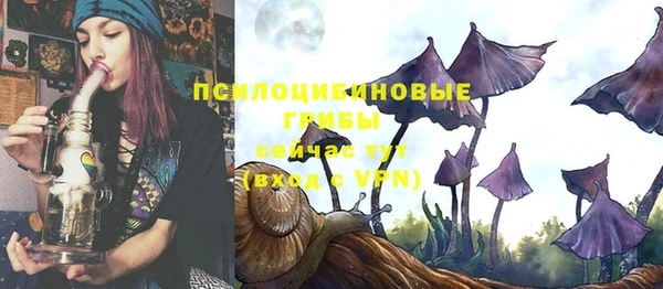 СК Вяземский