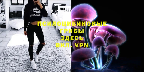 марки lsd Горняк