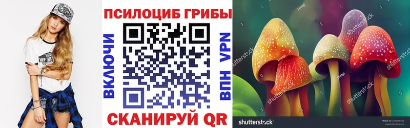 Купить  Морозовск  Псилоцибиновые грибы Cubensis 